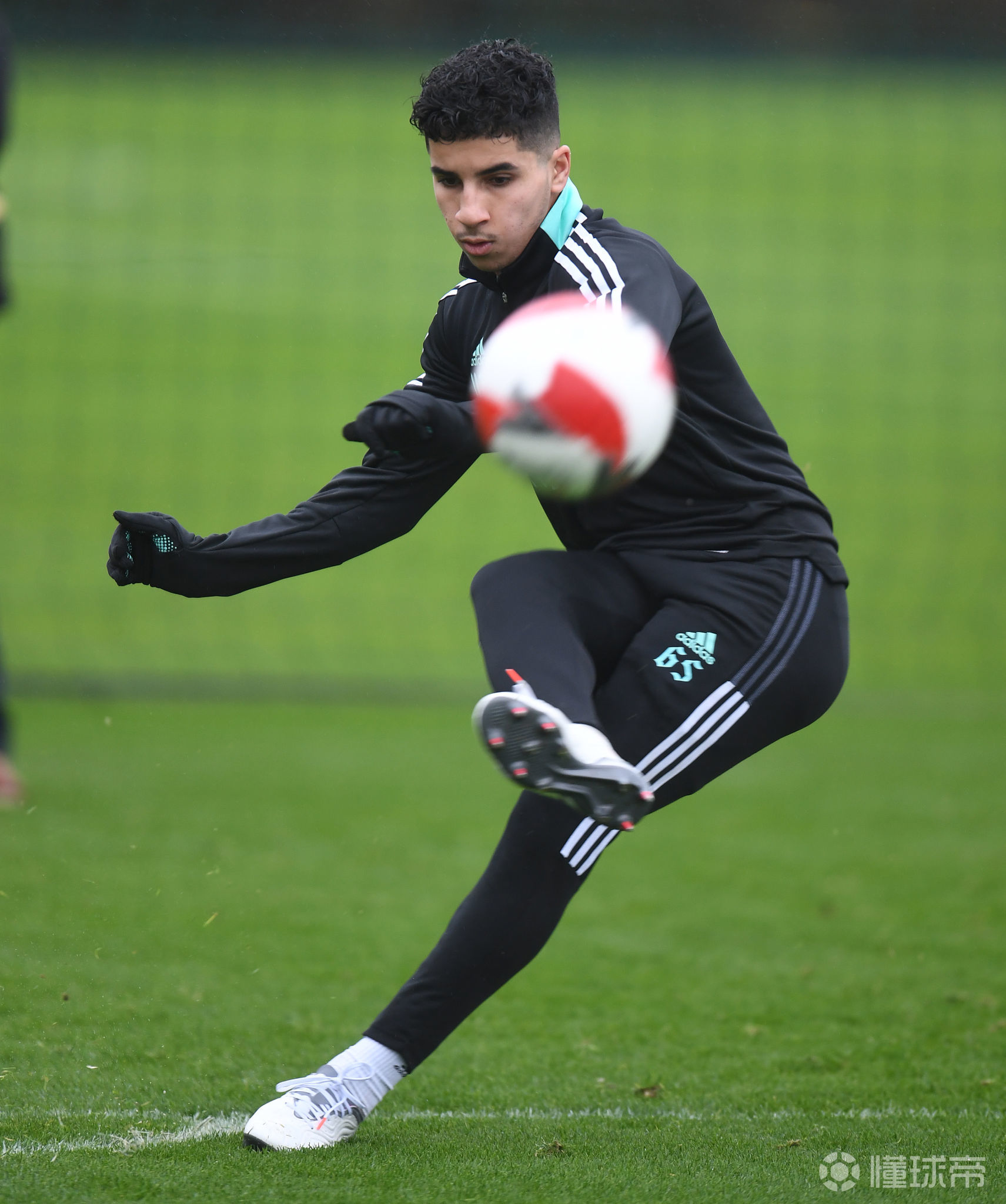 开云官方网站-关于转会期多伦多猛龙备战足总杯，外线爆发细节曝光，震撼外界，高层口径保持一致的信息