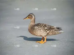 开云赛事集团-0€淵